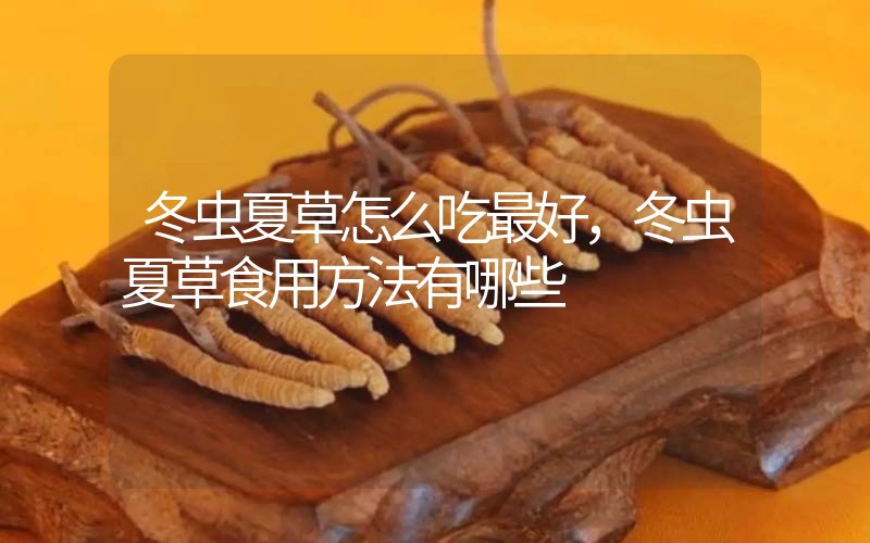 冬蟲夏草怎么吃最好，冬蟲夏草食用方法有哪些
