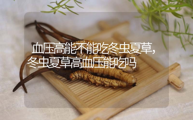 血壓高能不能吃冬蟲夏草，冬蟲夏草高血壓能吃嗎？