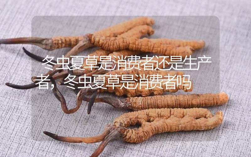 貧血吃冬蟲夏草有效果嗎，貧血虛弱者可以用冬蟲夏草嗎？
