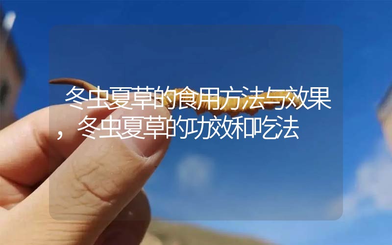 冬蟲夏草的食用方法與效果，冬蟲夏草的食用方法！