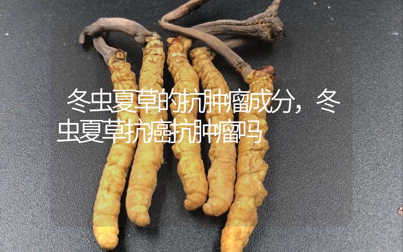 冬蟲夏草的抗腫瘤成分，冬蟲夏草抗癌抗腫瘤嗎？