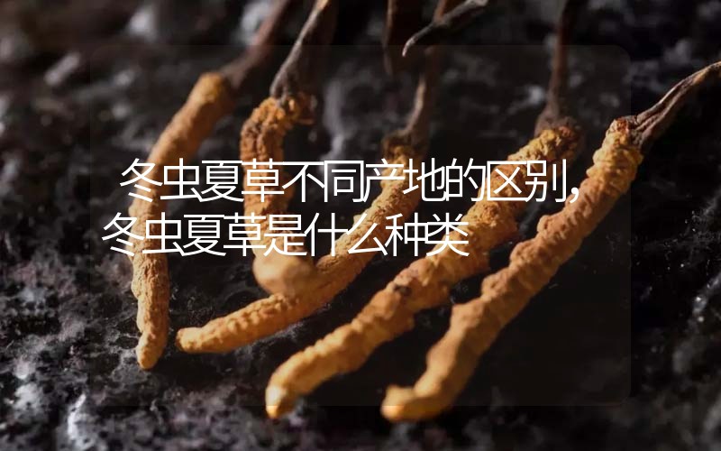 冬蟲夏草不同產(chǎn)地的區(qū)別，冬蟲夏草是什么種類