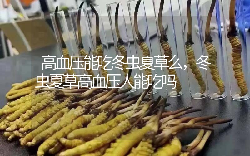 高血壓能吃冬蟲夏草么，冬蟲夏草高血壓人能吃嗎