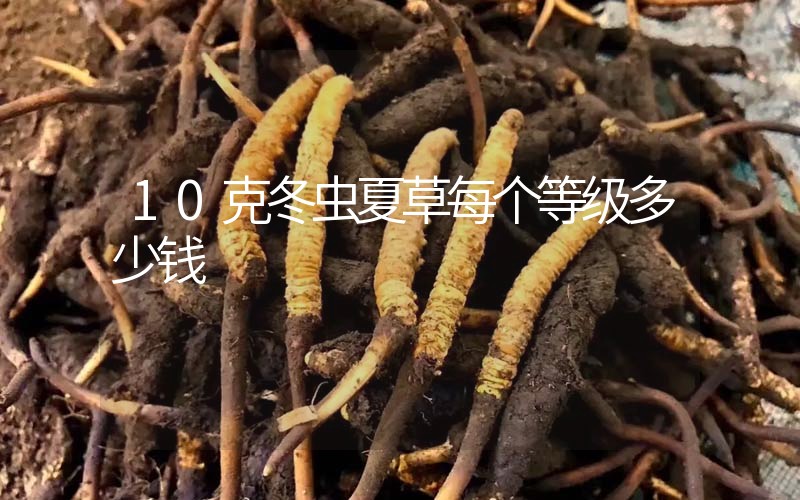 10克冬蟲夏草每個等級多少錢？