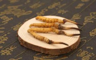 通過(guò)氣味可以辨別冬蟲(chóng)夏草好壞嗎？