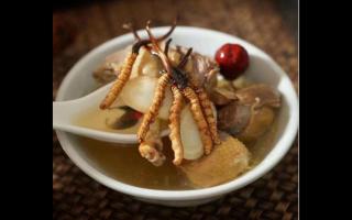 冬蟲(chóng)夏草五大吃法，讓你真正會(huì)吃蟲(chóng)草！