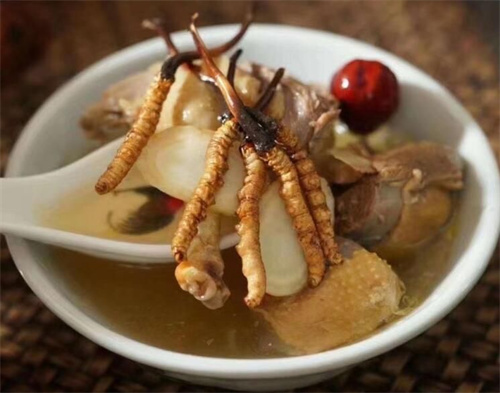 小孩子可以吃冬蟲夏草嗎？