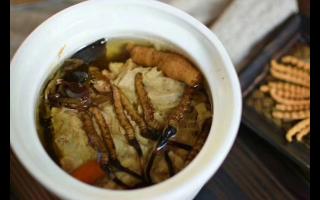 冬蟲夏草怎么食用？解鎖滋補(bǔ)養(yǎng)生的正確打開方式