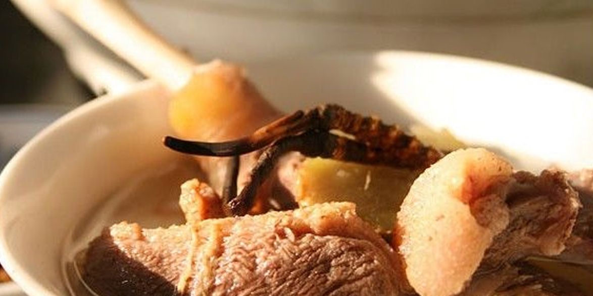 冬蟲(chóng)夏草怎么吃？多種食用方法全解析
