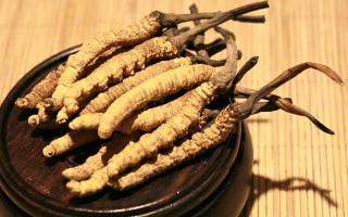 冬蟲(chóng)夏草的價(jià)格一克：為何如此昂貴？