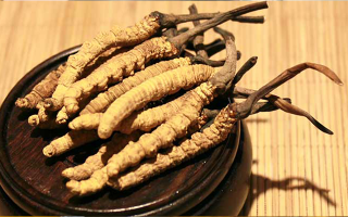 未來(lái)冬蟲夏草會(huì)漲價(jià)嗎？