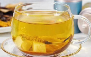 冬蟲夏草可以直接泡水喝嗎？科學(xué)解析與正確方法