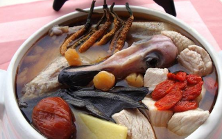 冬蟲(chóng)夏草配什么煲湯好？營(yíng)養(yǎng)美味的搭配指南