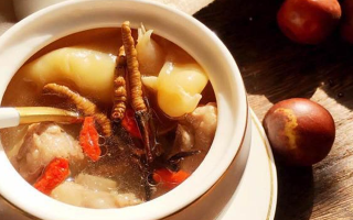 冬蟲夏草與什么泡水喝？養(yǎng)生搭配指南