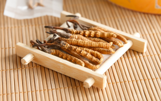 冬蟲夏草一般多少錢一斤？價格背后的價值解析
