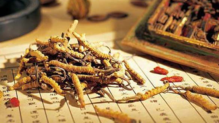 冬蟲夏草是什么長(zhǎng)成的？揭秘其獨(dú)特的生長(zhǎng)歷程