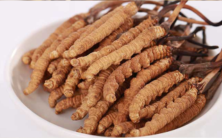 冬蟲(chóng)夏草燉水鴨，搭配這些食材更滋補(bǔ)